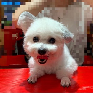 买买买不买后悔十辈子