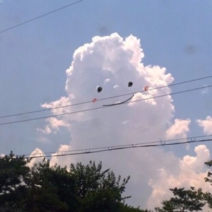 利姆鲁特恩佩斯特T