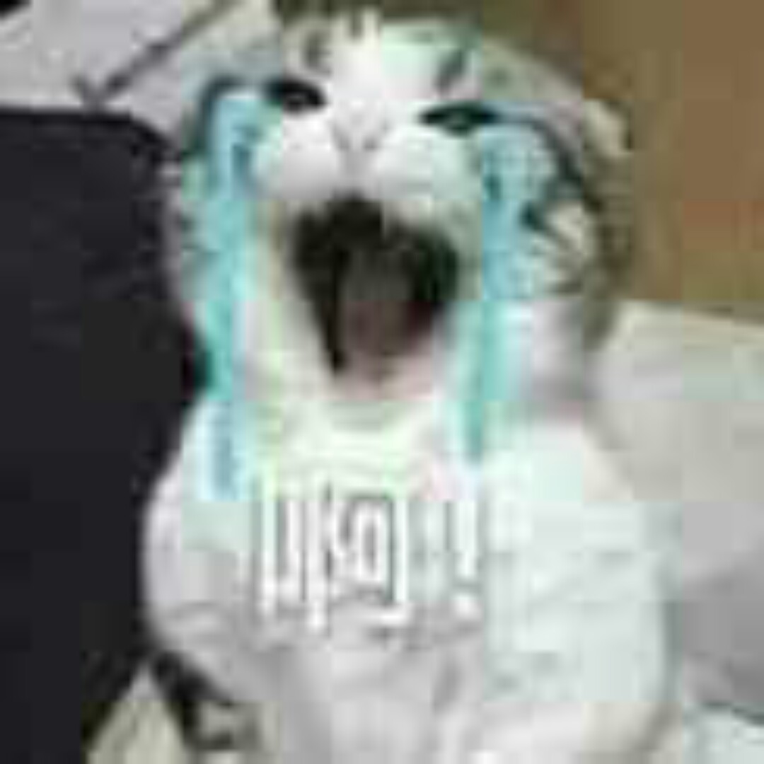 点错了自动发的不用管