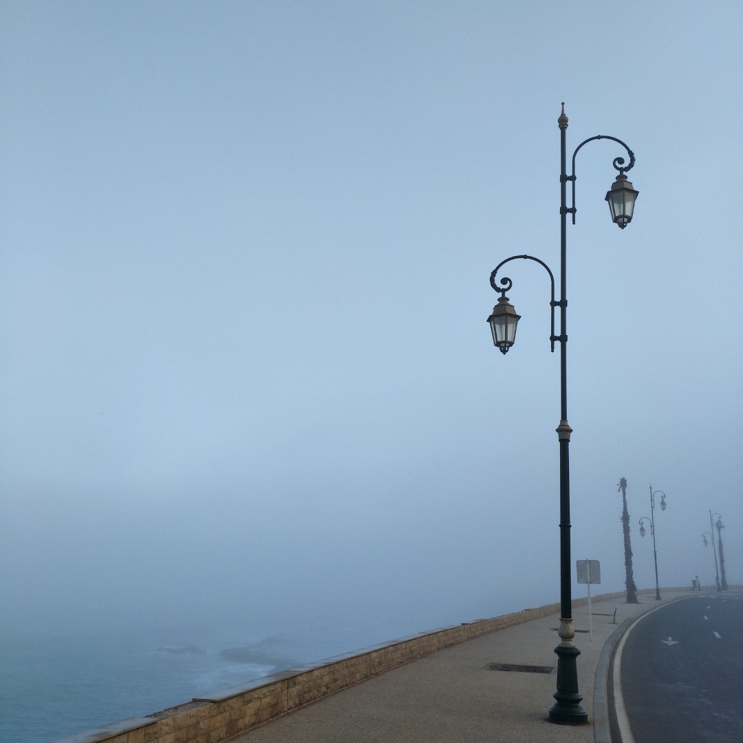 多多是个小可爱00