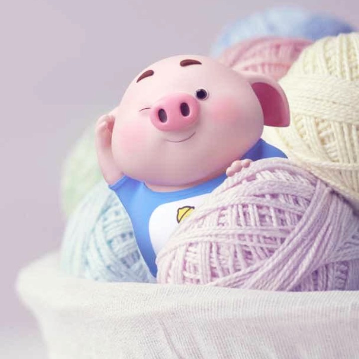 爱吃银耳莲子的小饼干小鑫