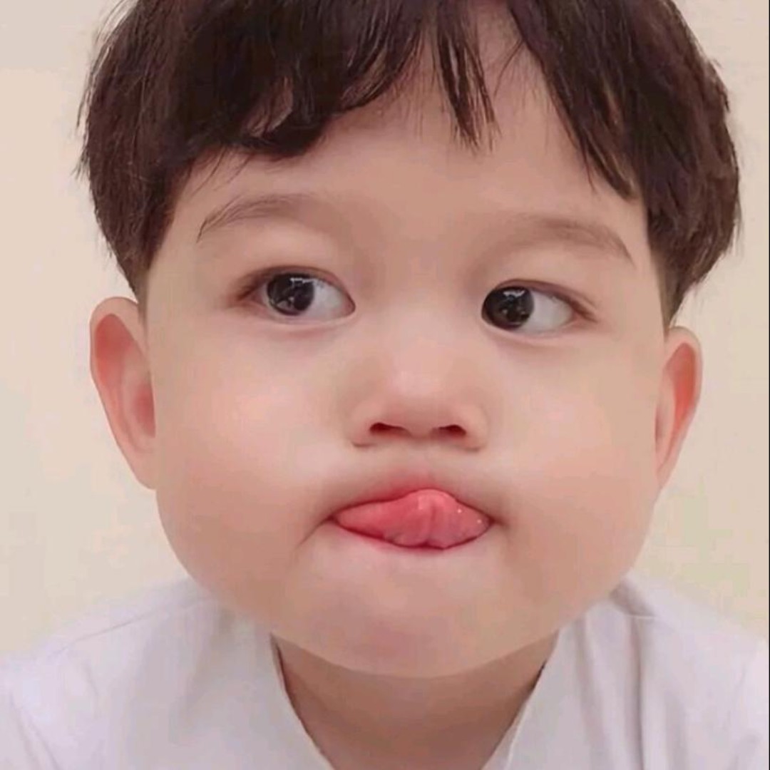 爱吃一品鲜虾的灰太狼