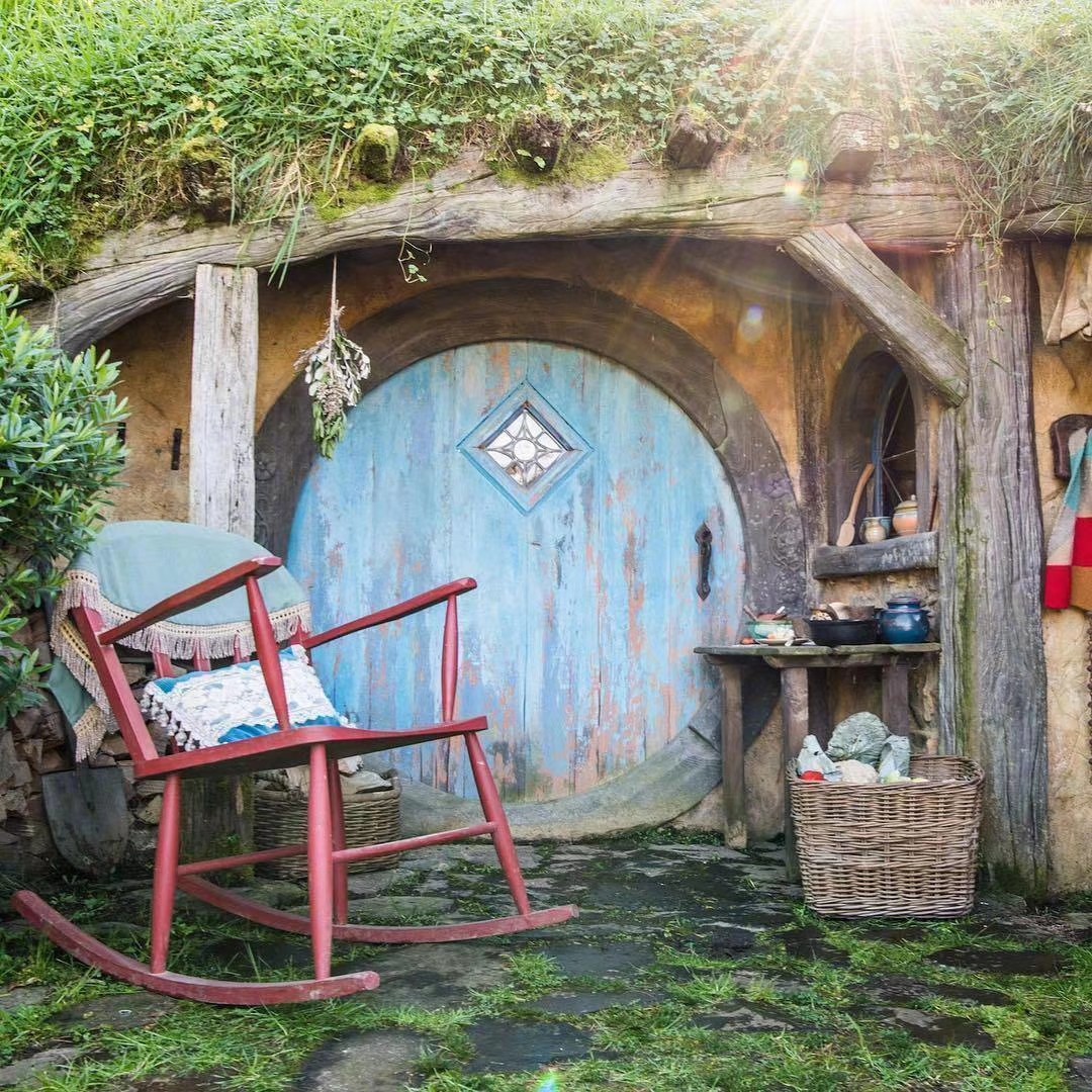 奇葩果的枇杷果