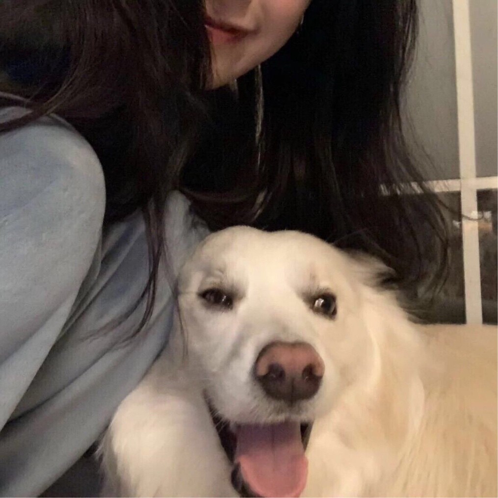 高颜值88线女明星