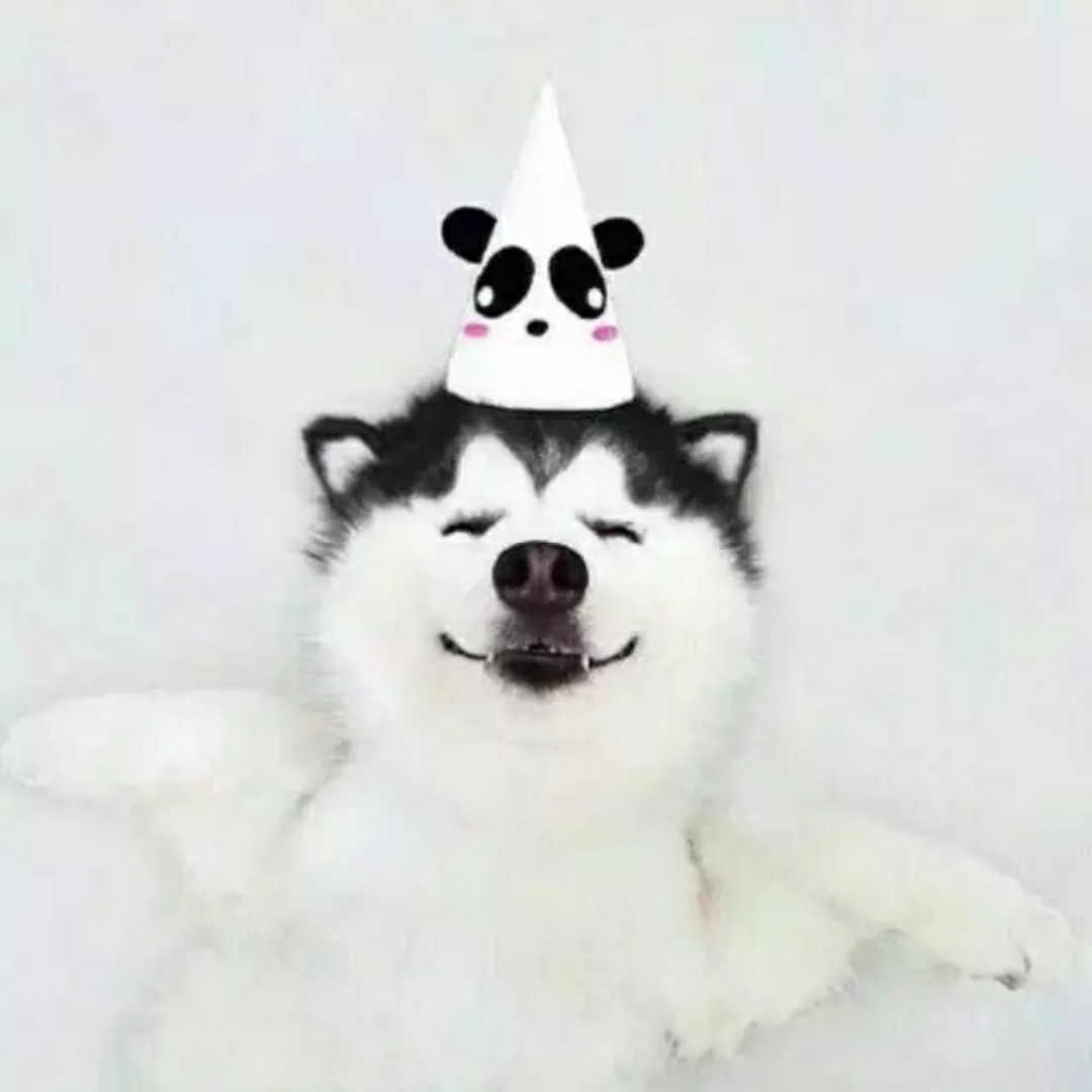 你老公叫杨哥么