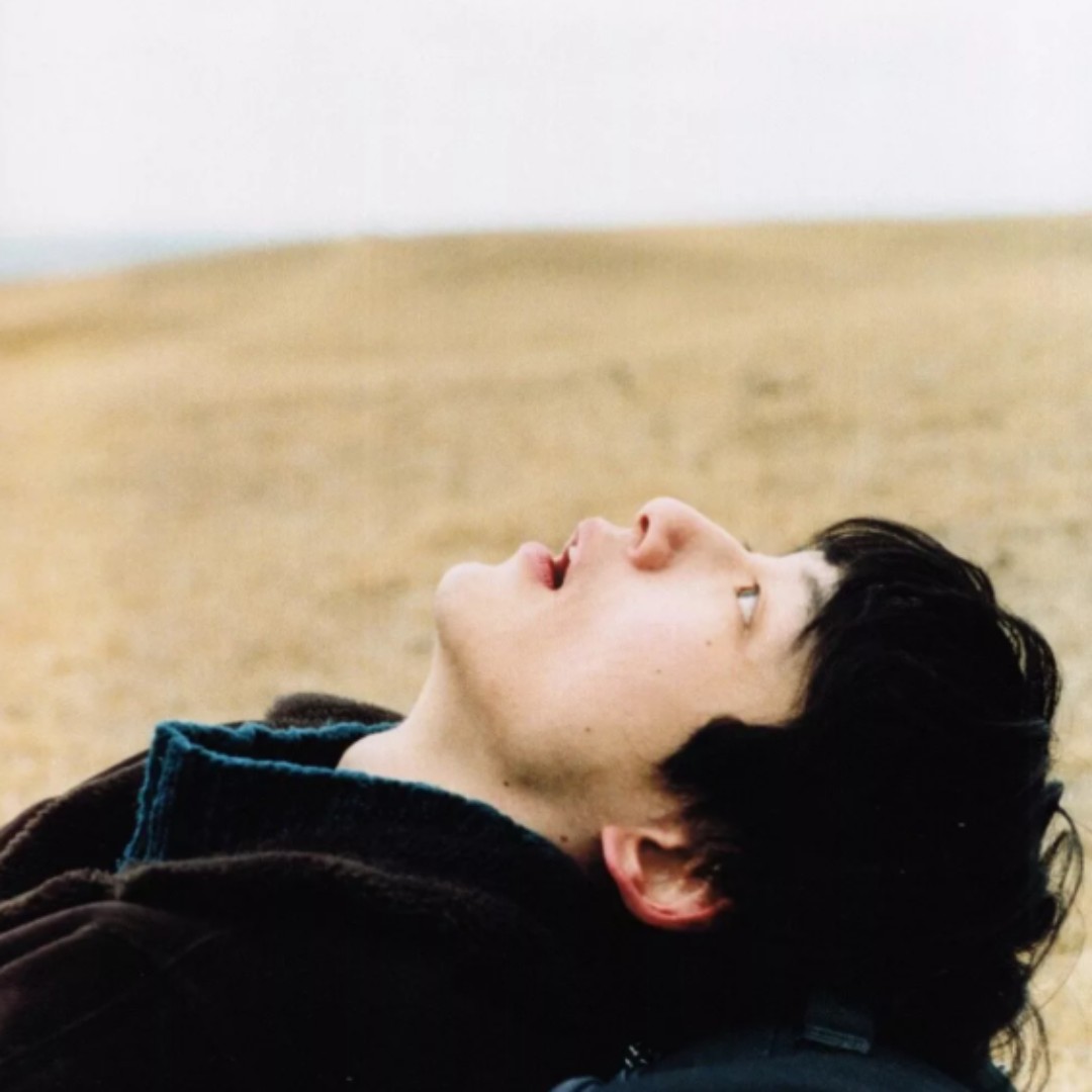 爱睡回笼觉的微晨