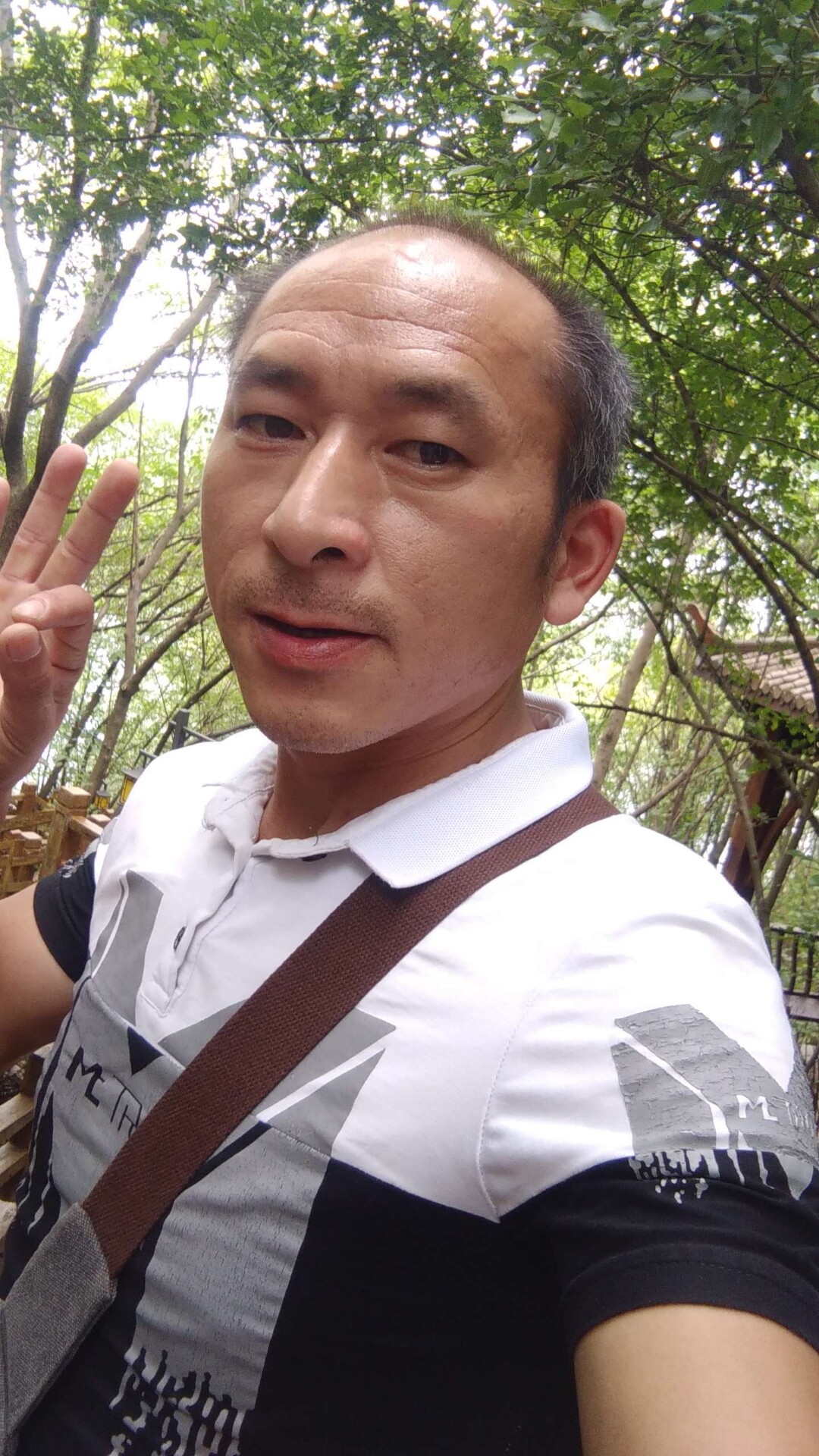 你若安好便是晴天