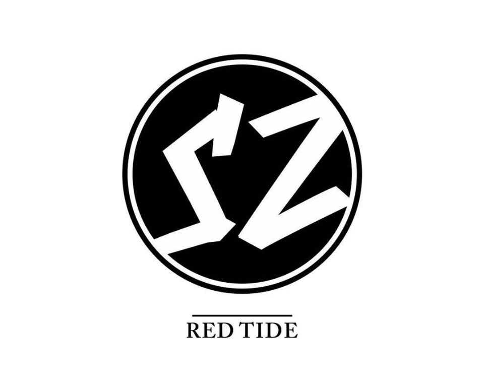 有效率的小脑斧