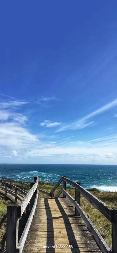 青岛最后的速度