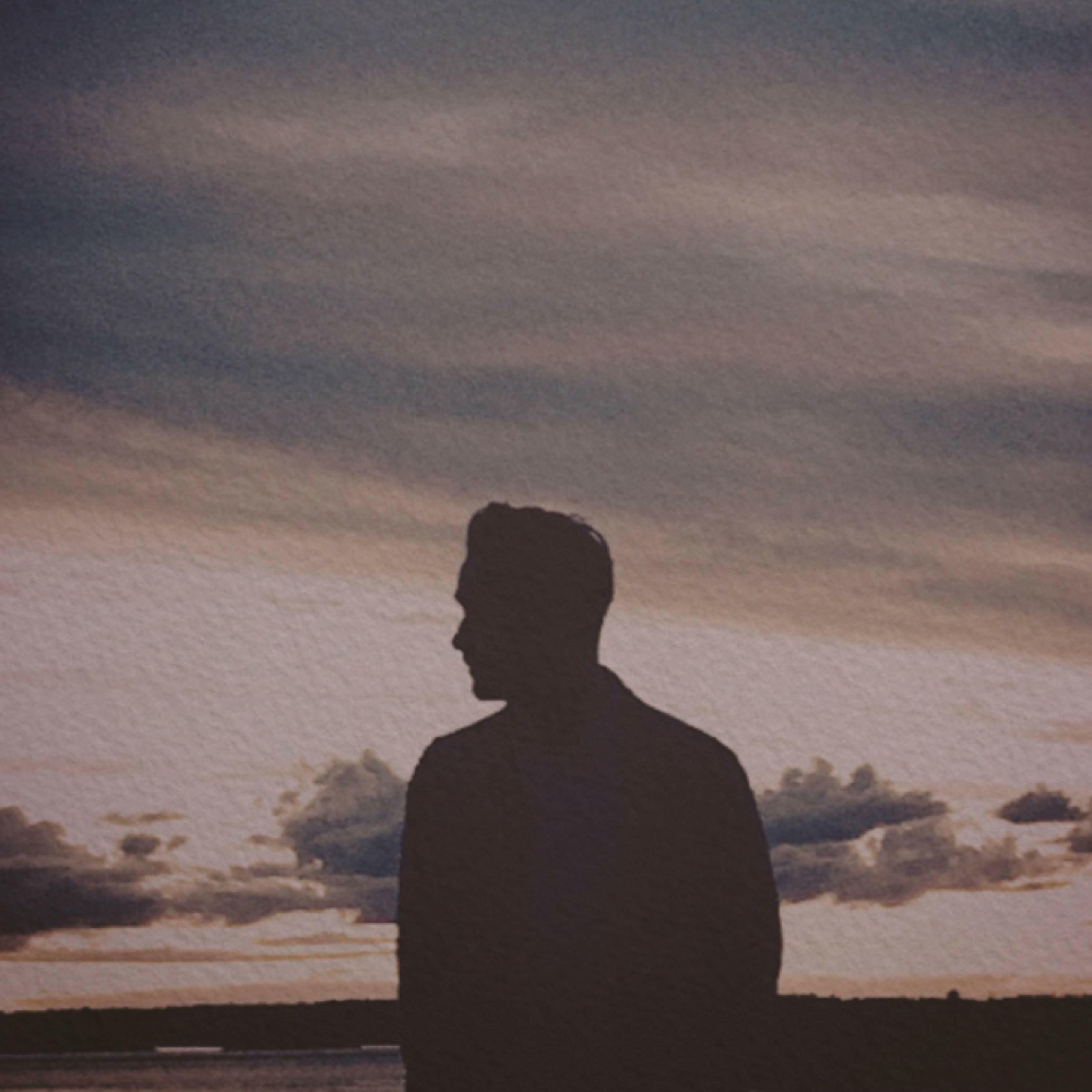 北冰洋空闲的鹌鹑