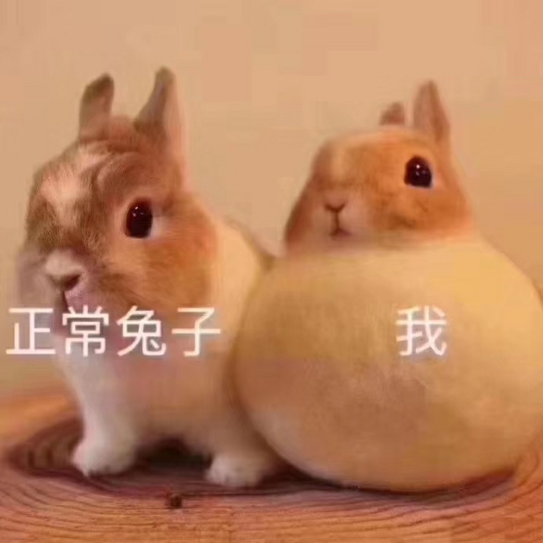 爱吃青豆泥酱的布朗尼rp