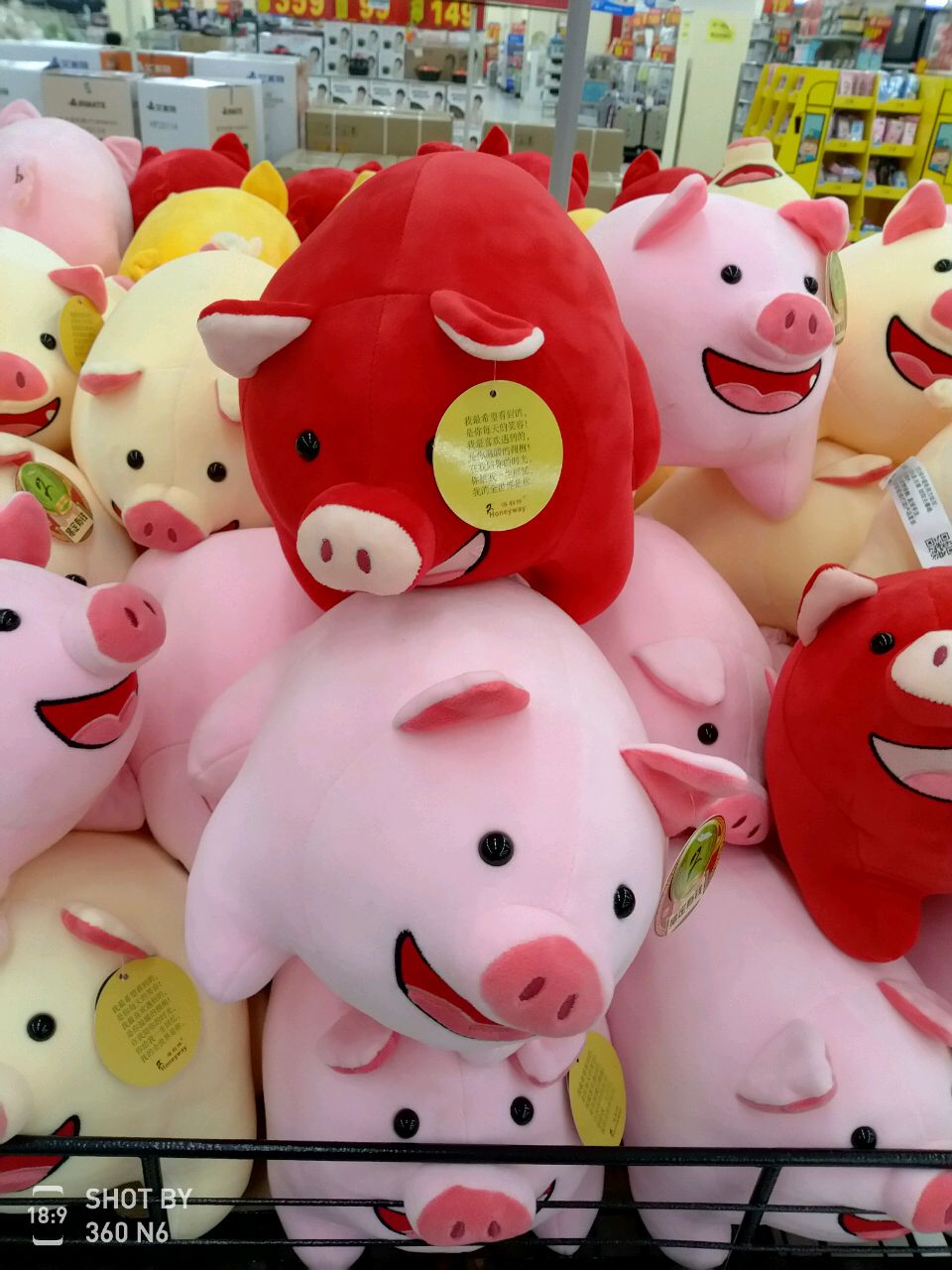 太白路潜水菠菜