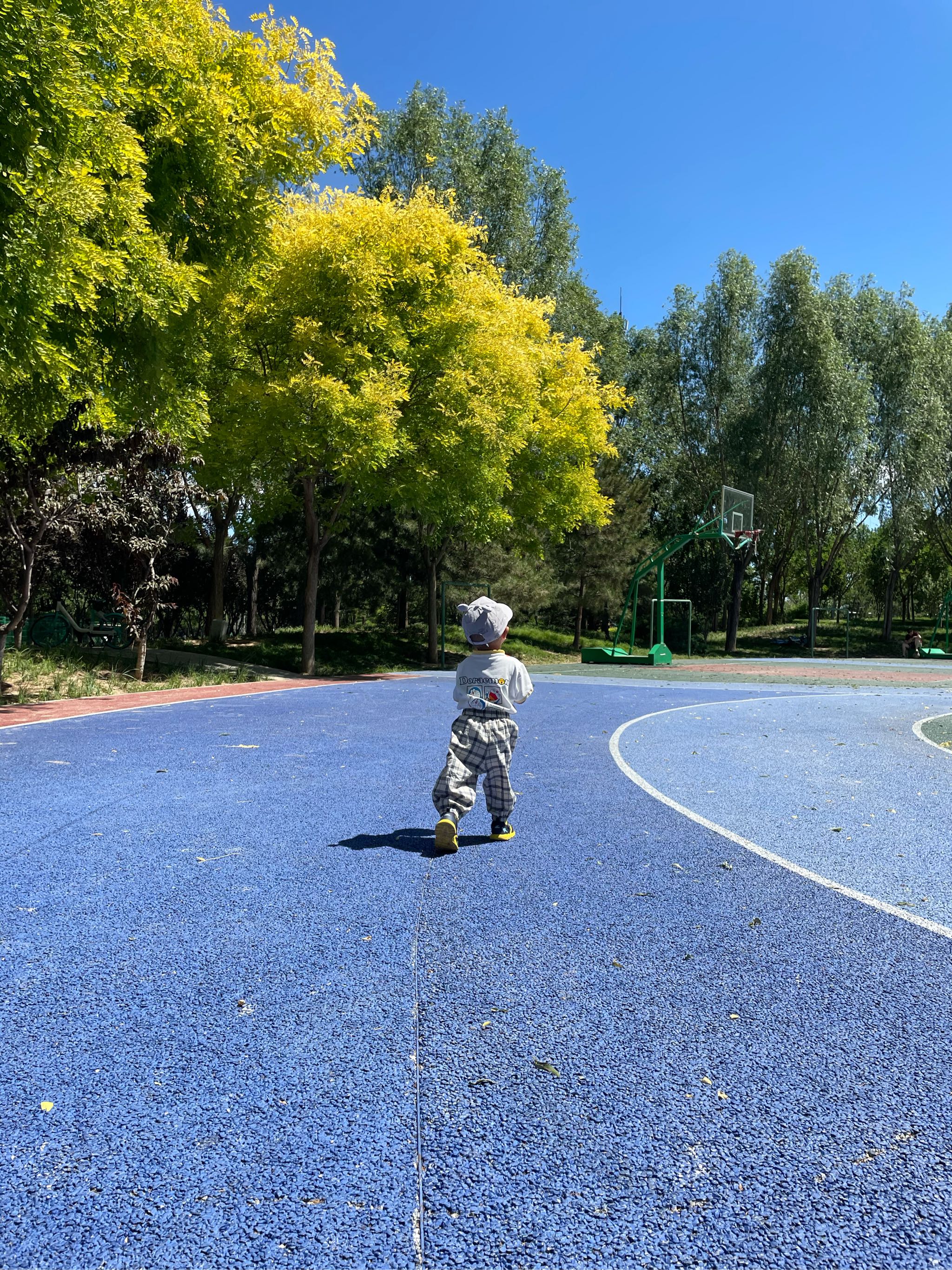 幸运小石榴(^_^)