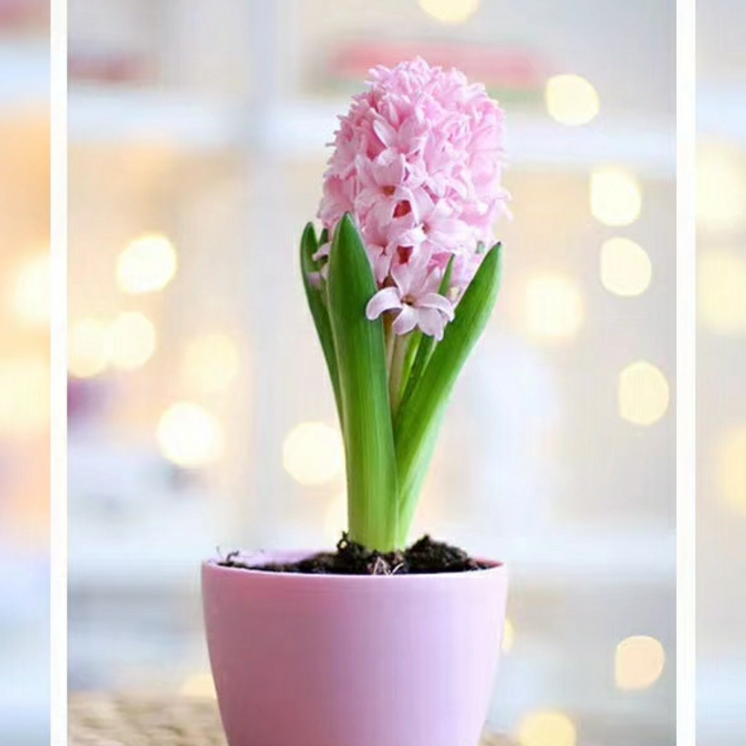 我家有小棉袄(^^)