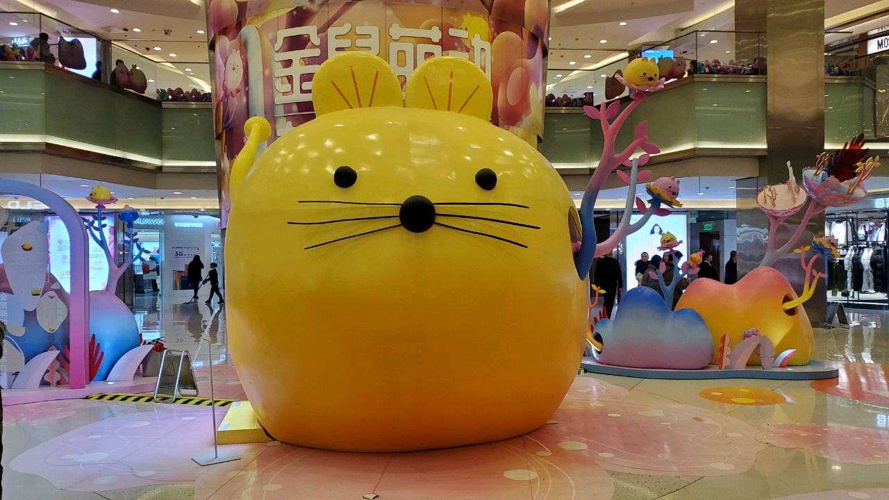 爱吃烤麸春笋的麦田we