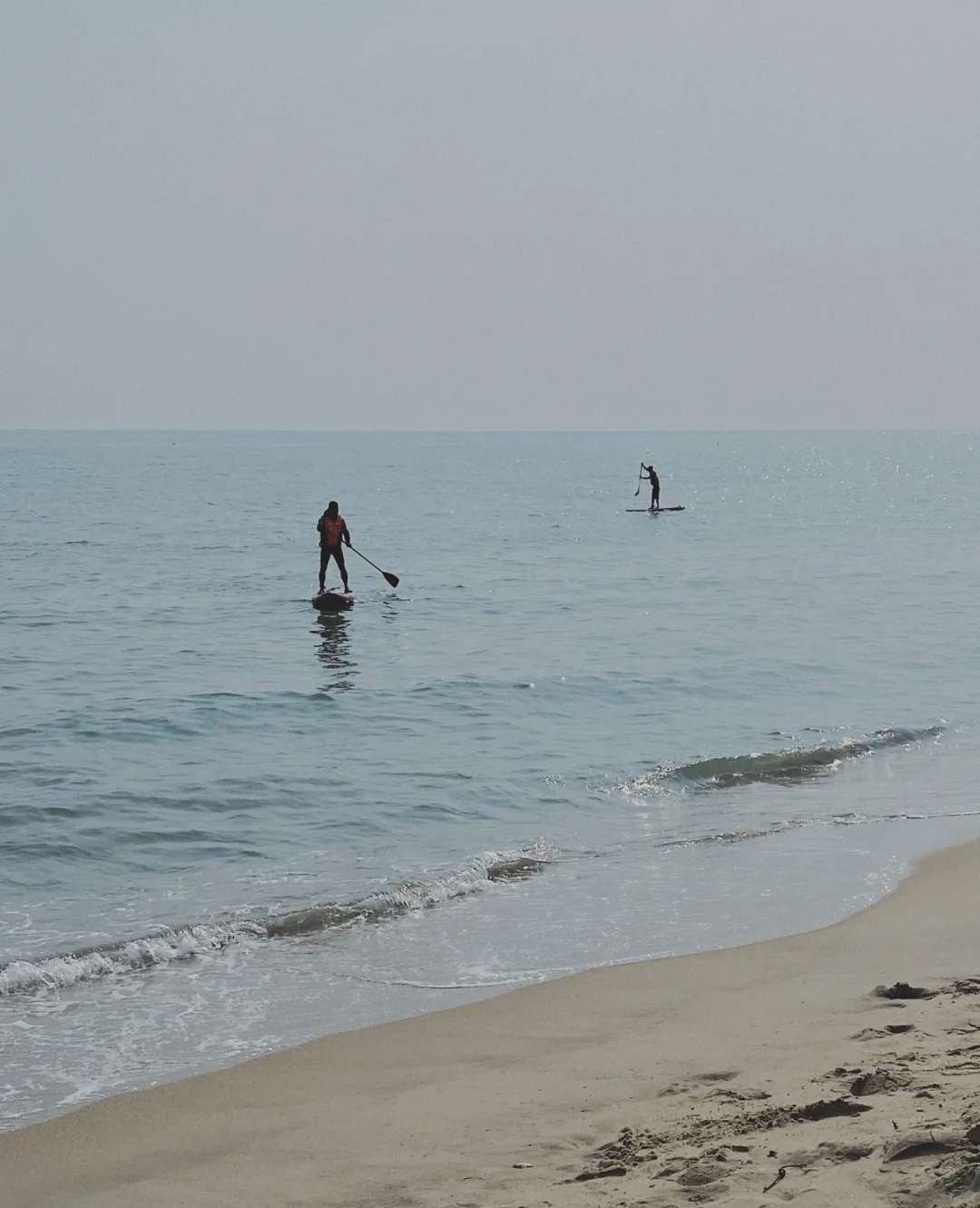 爱吃东北年糕的特工哈哈