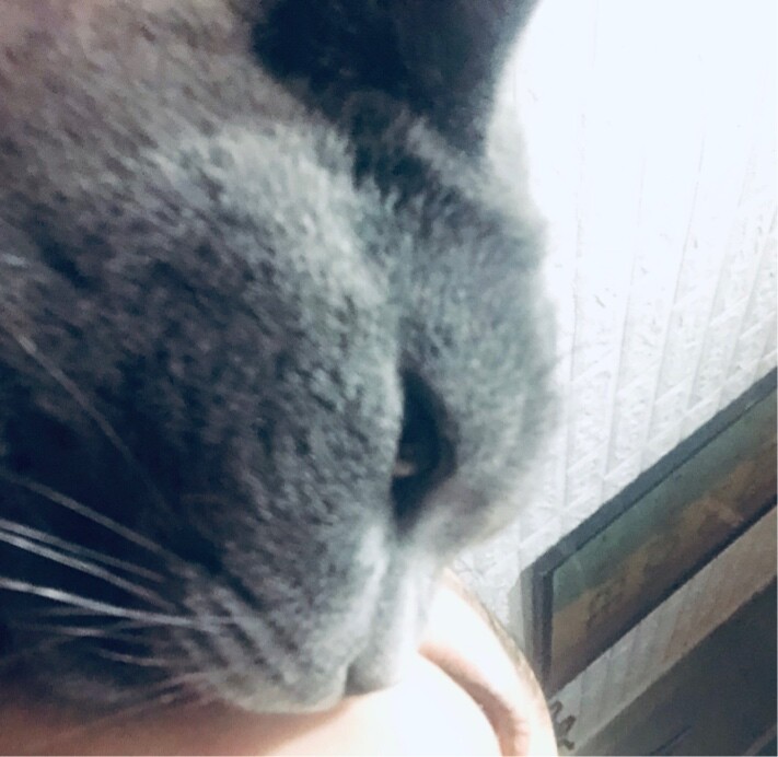 Hhxh&hellip;&hellip;