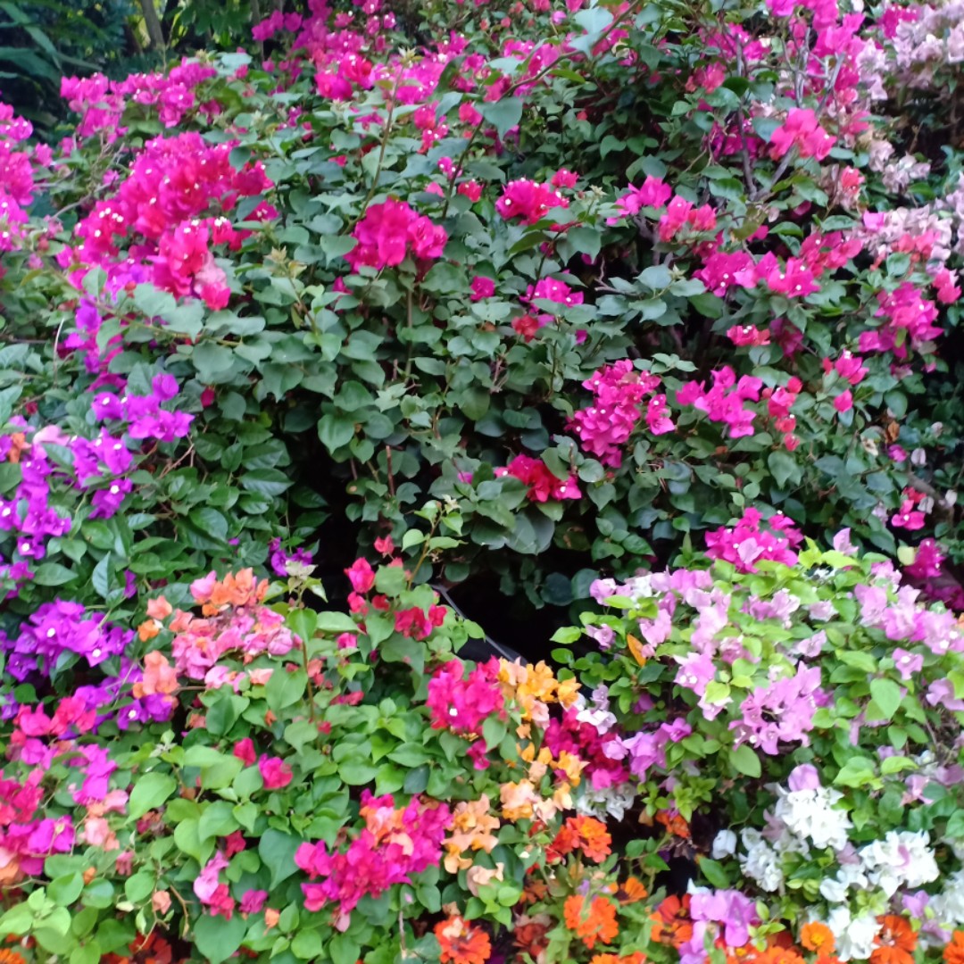 你萌我萌大家都萌