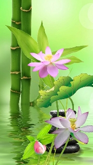 指点江山者如人也有狗