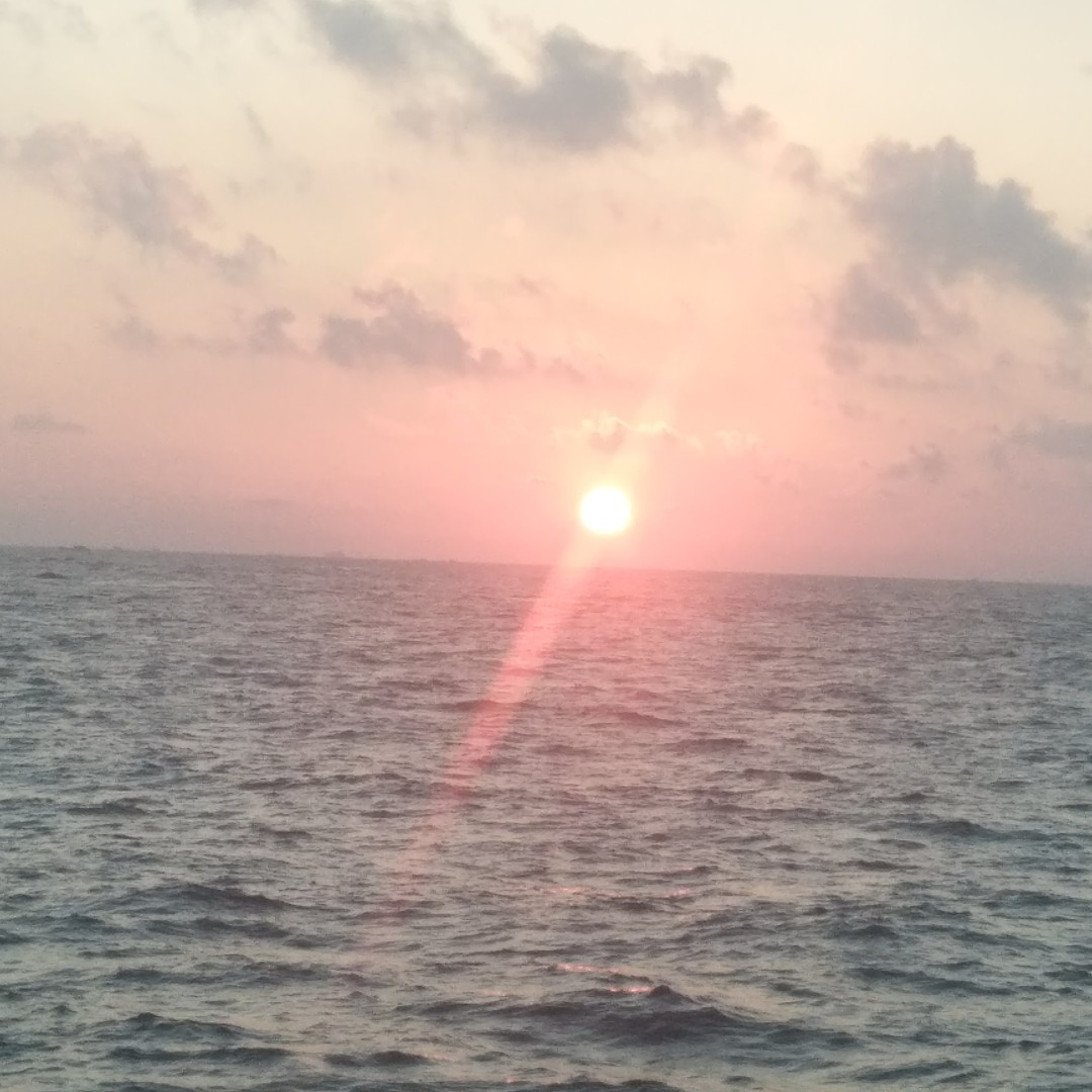 木乃衣王者归来