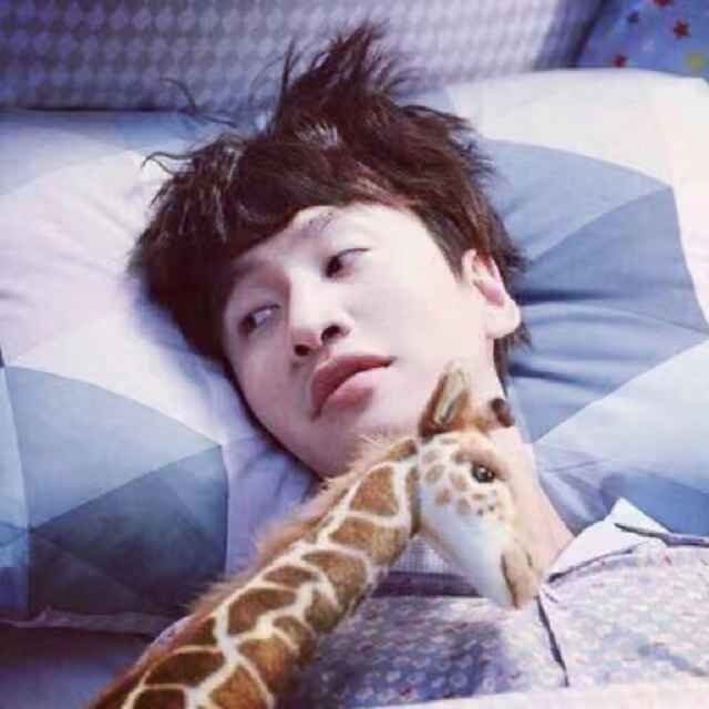 马厂子白羊座侧柏