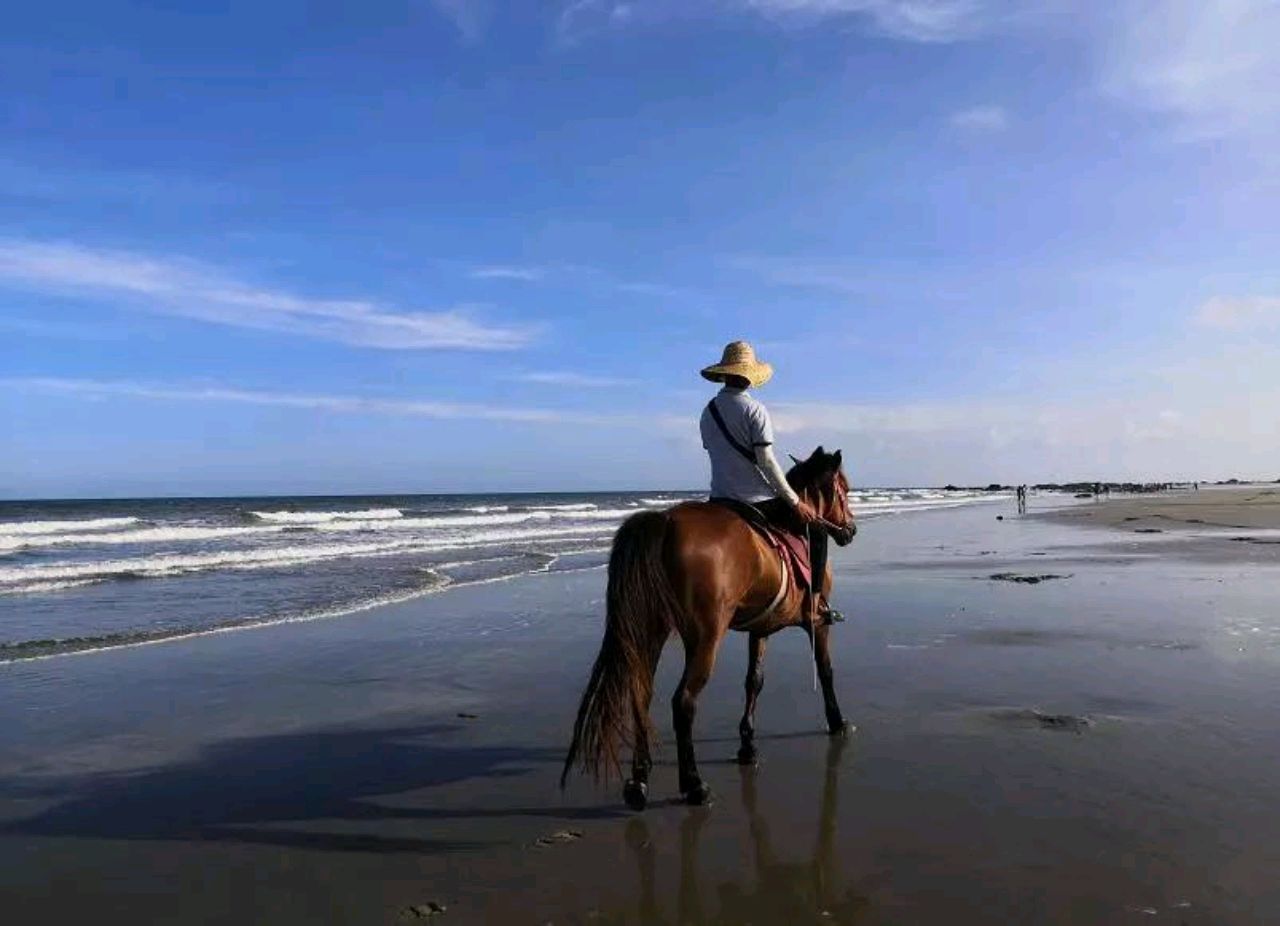 在山的那边海的那边的帅比