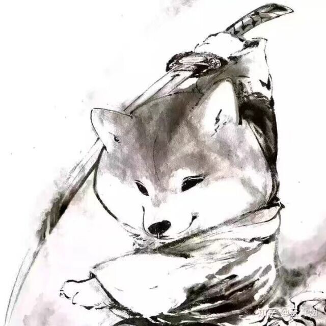 掏枪的羊村村长