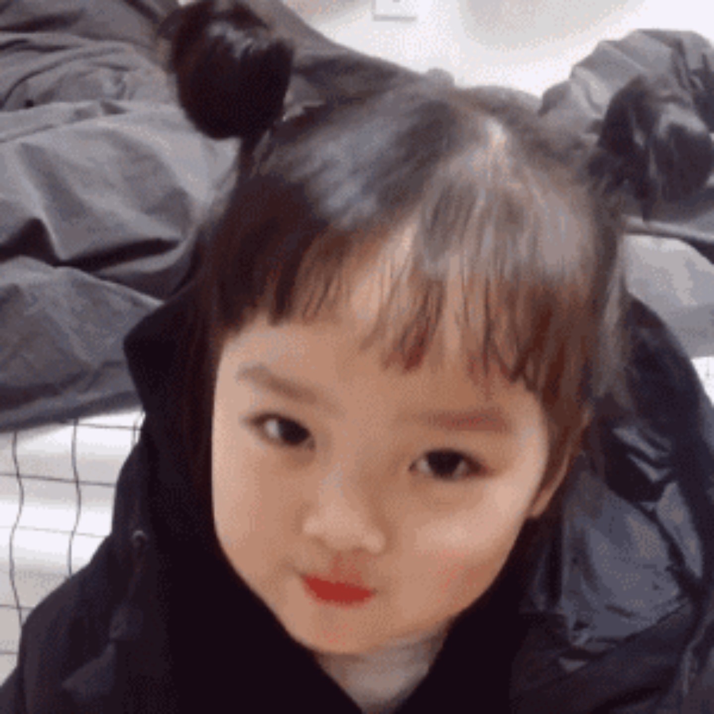 爱吃金银双花的小神奇