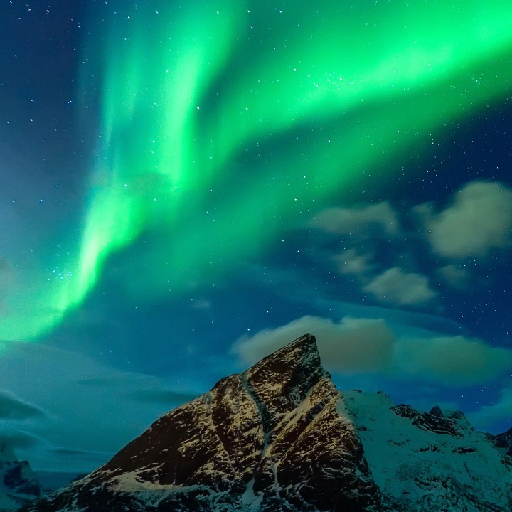 懂事又捣蛋的单眼皮