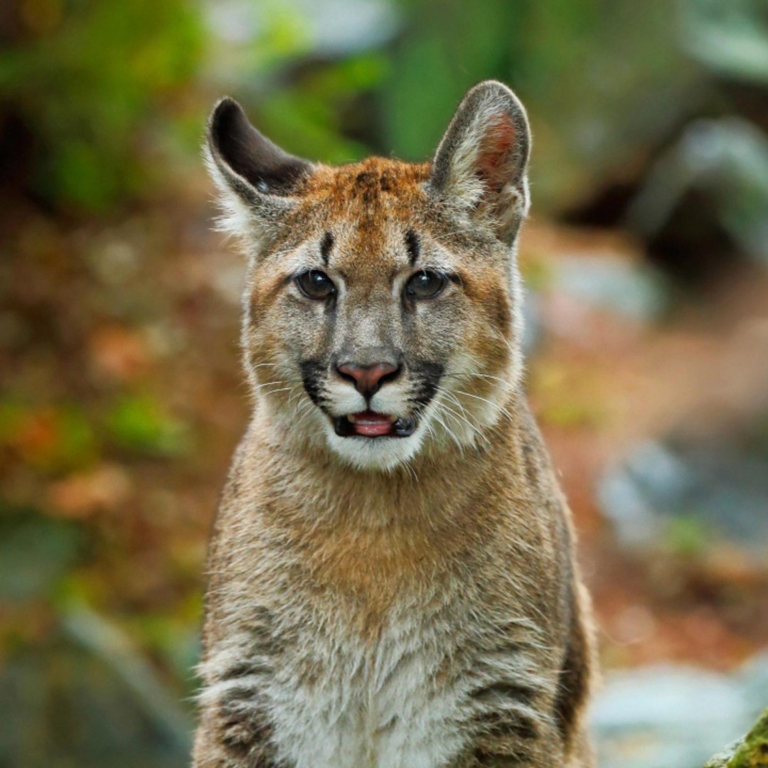 天天桃花朵朵开继续开