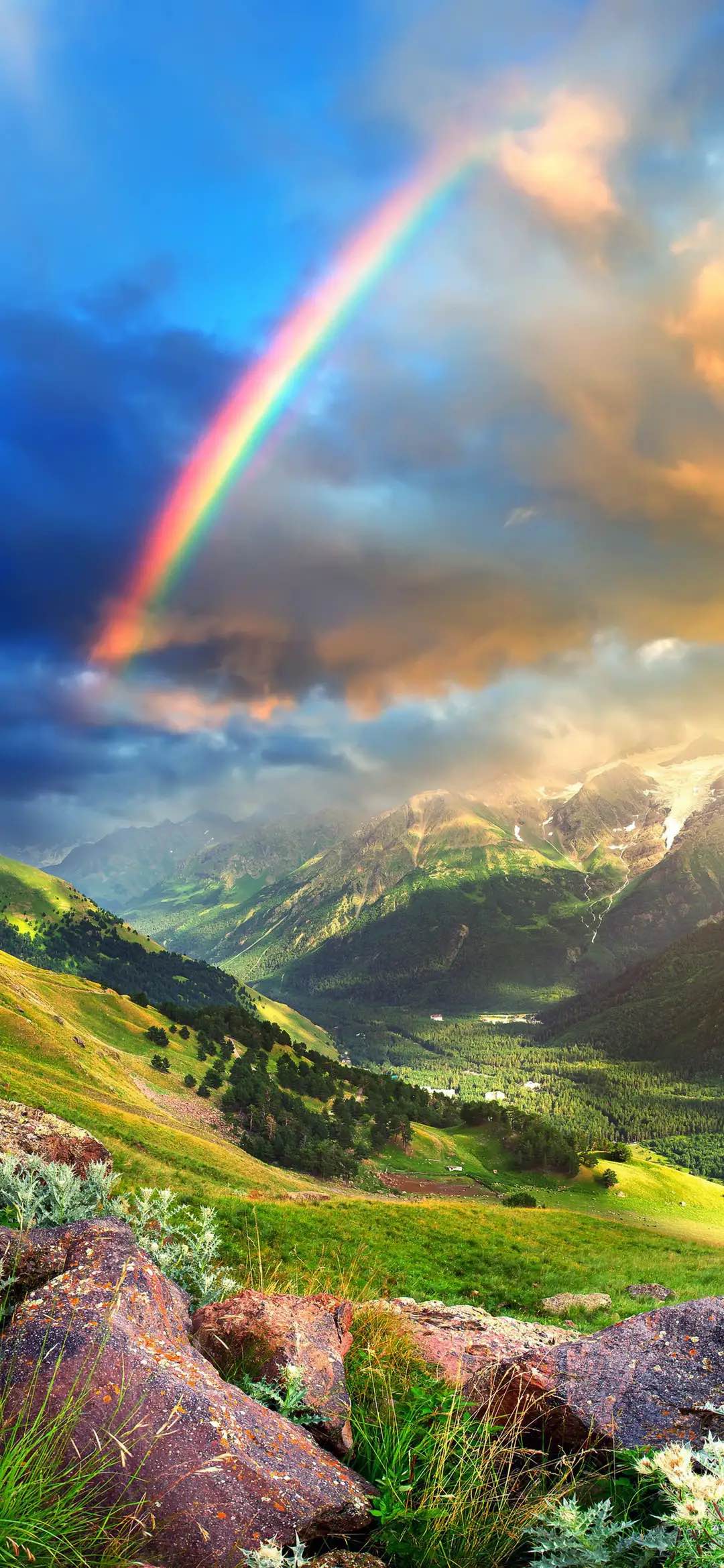 品质人生完美生活