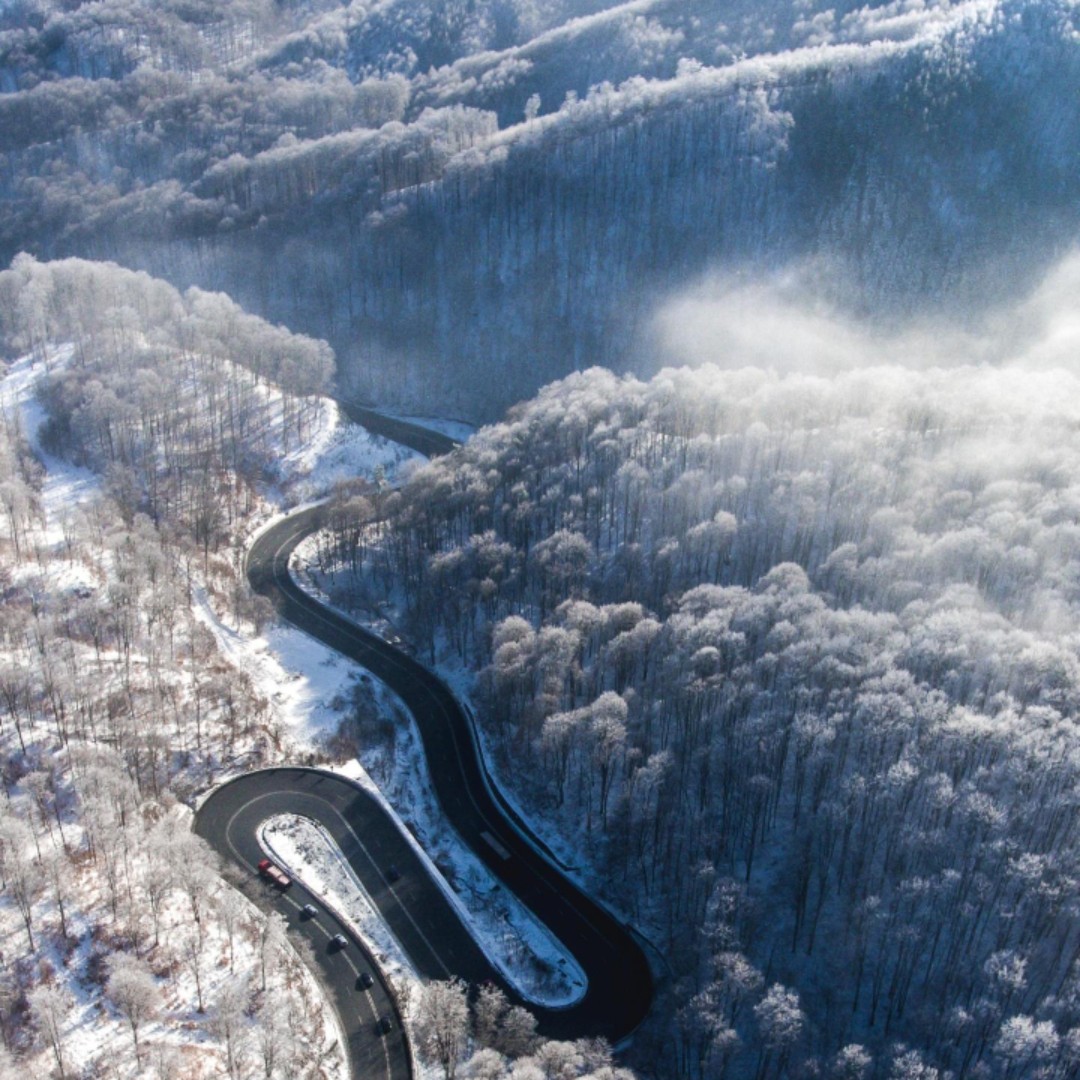 南瓜饼和小海螺