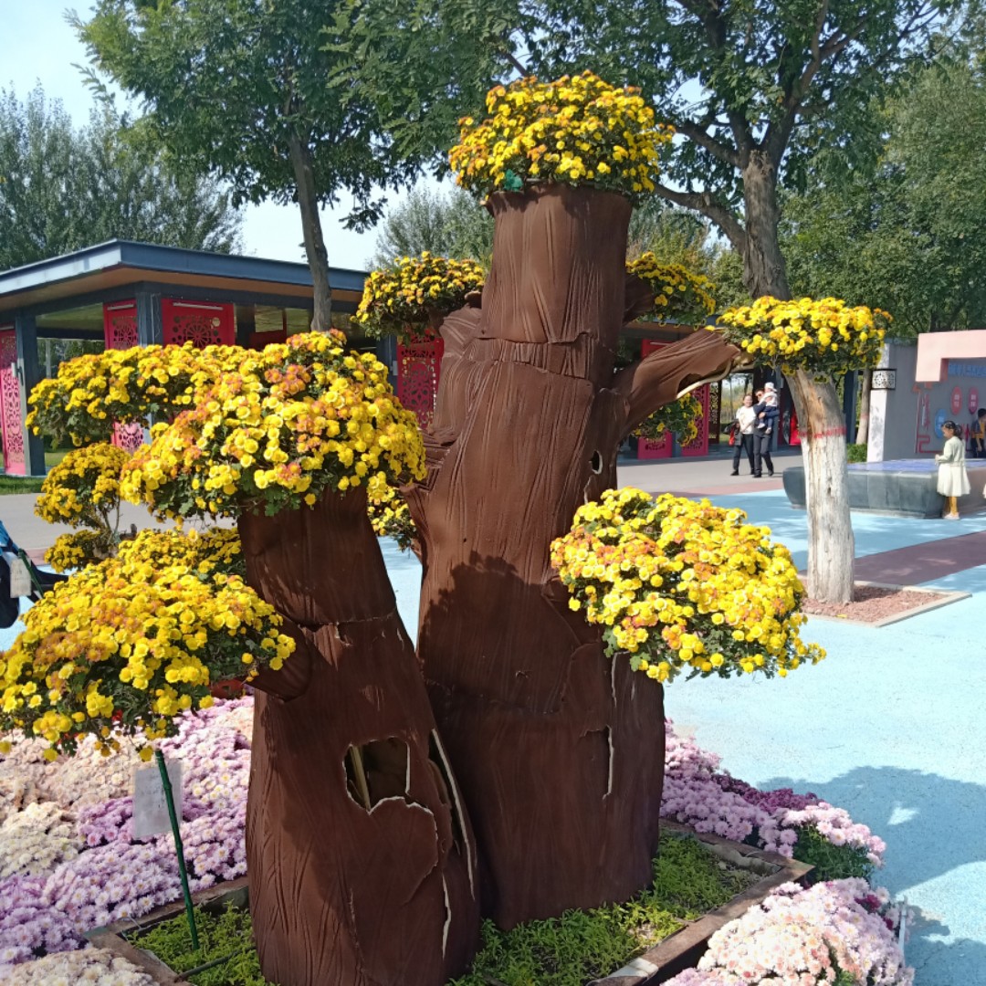 雨中的太阳红彤彤