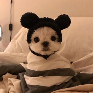 Miss.北海之北ヽ