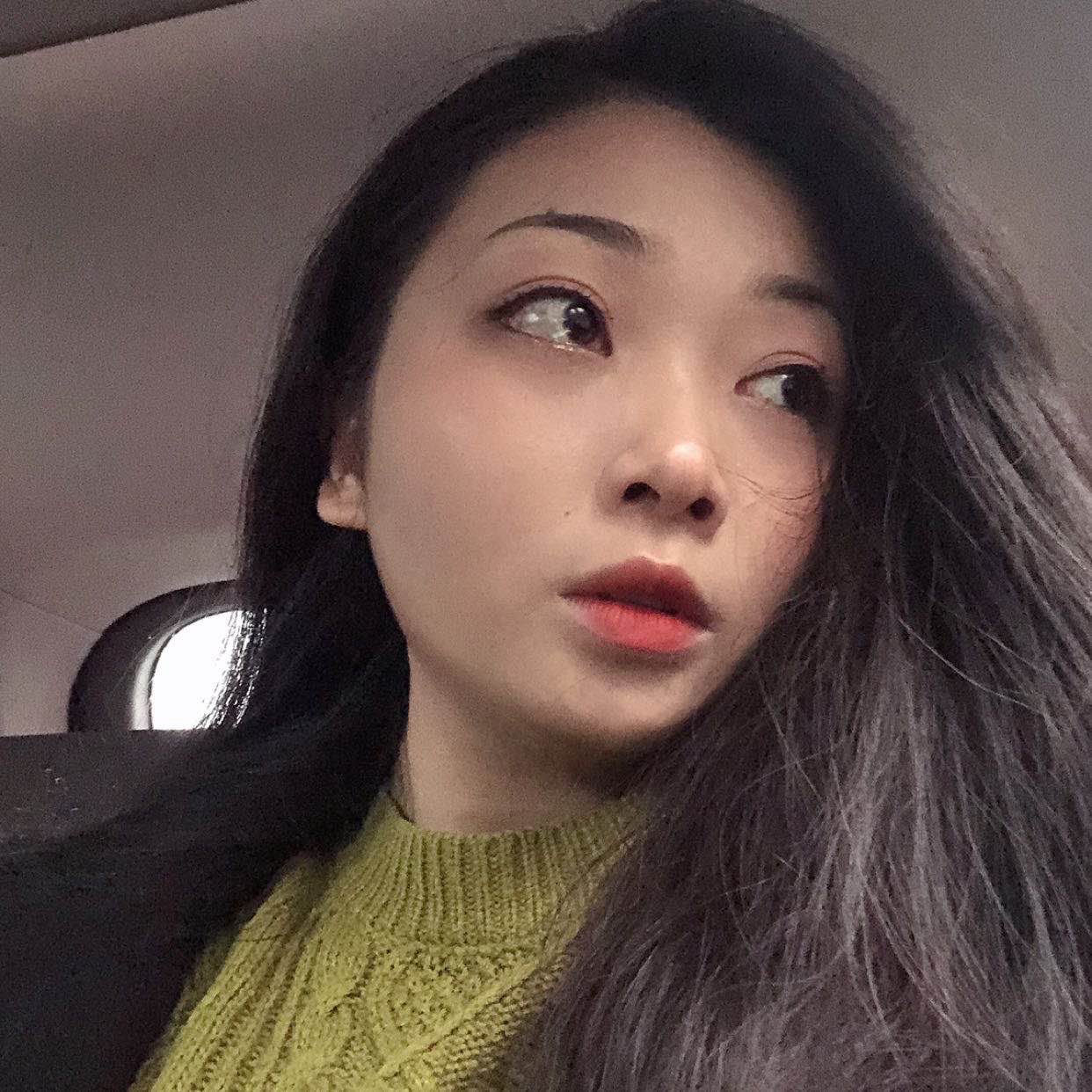 大象背上的蚂蚁