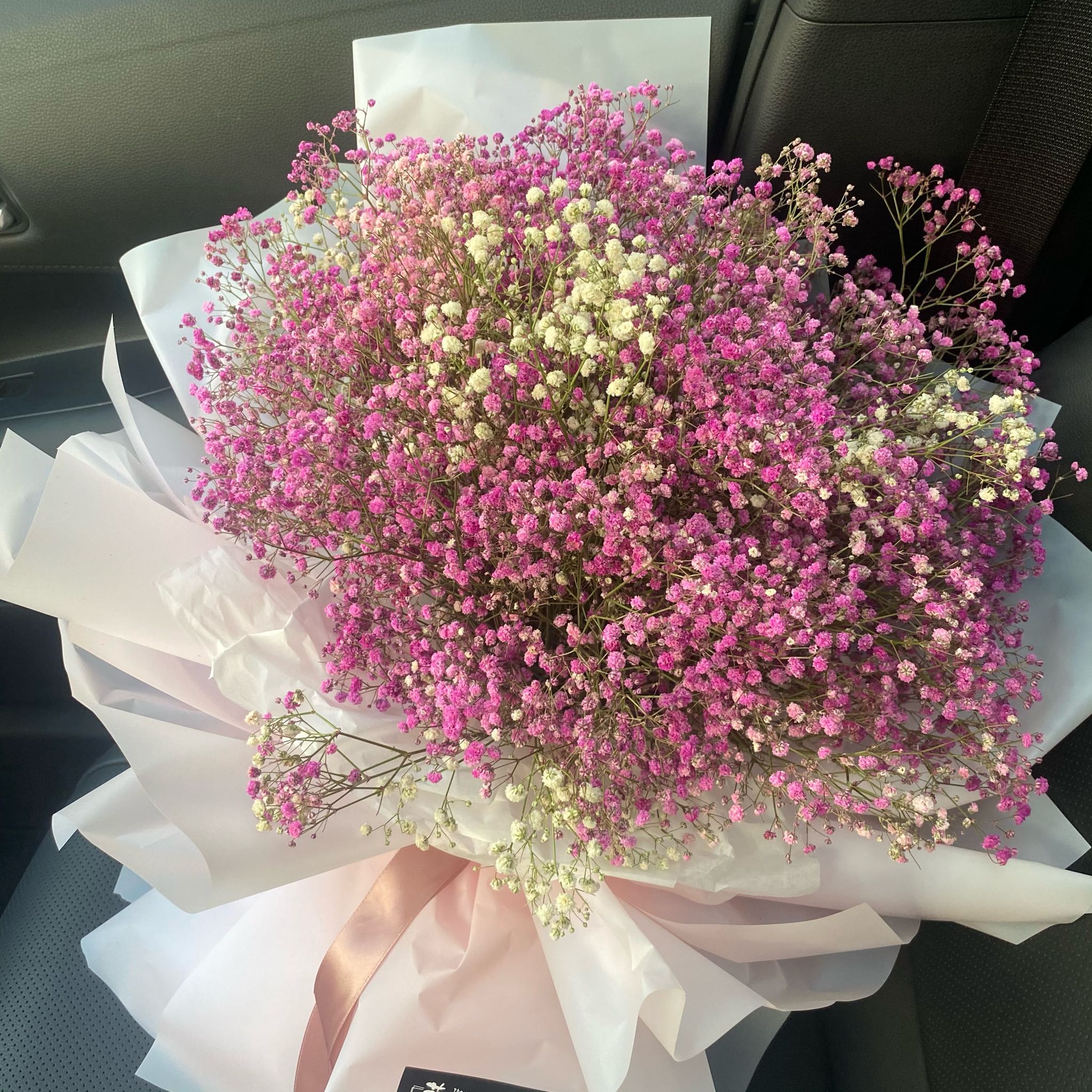 云举路认真的番茄