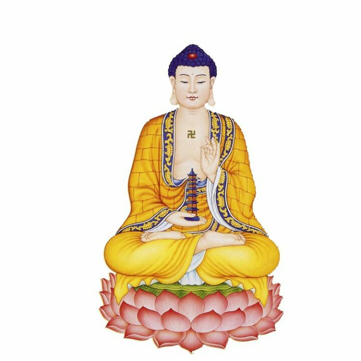 黑喵家的小朋友