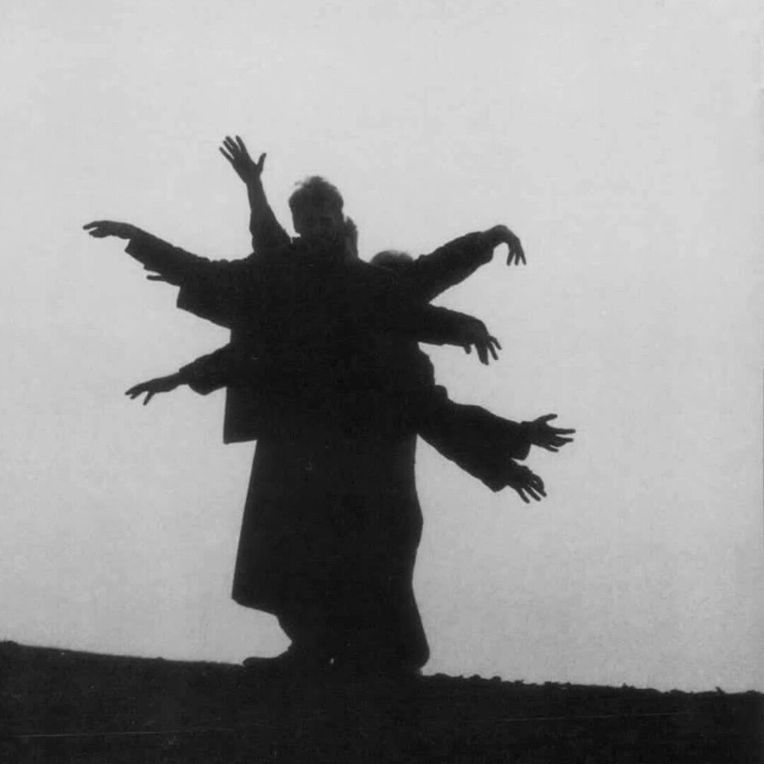 没有感情的杀手