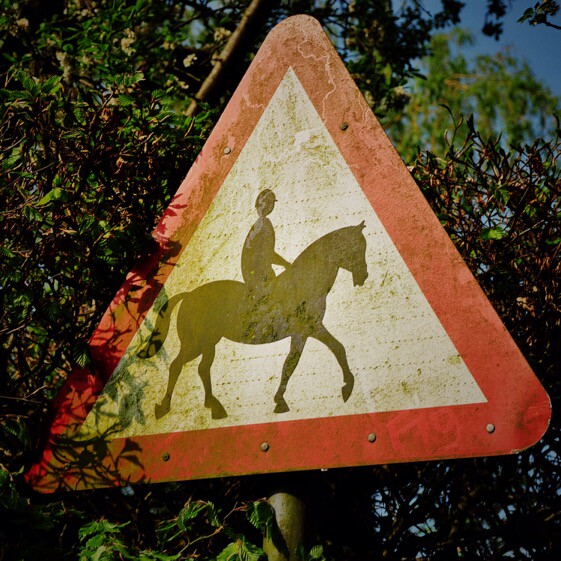 加菲喵喵喵喵喵喵