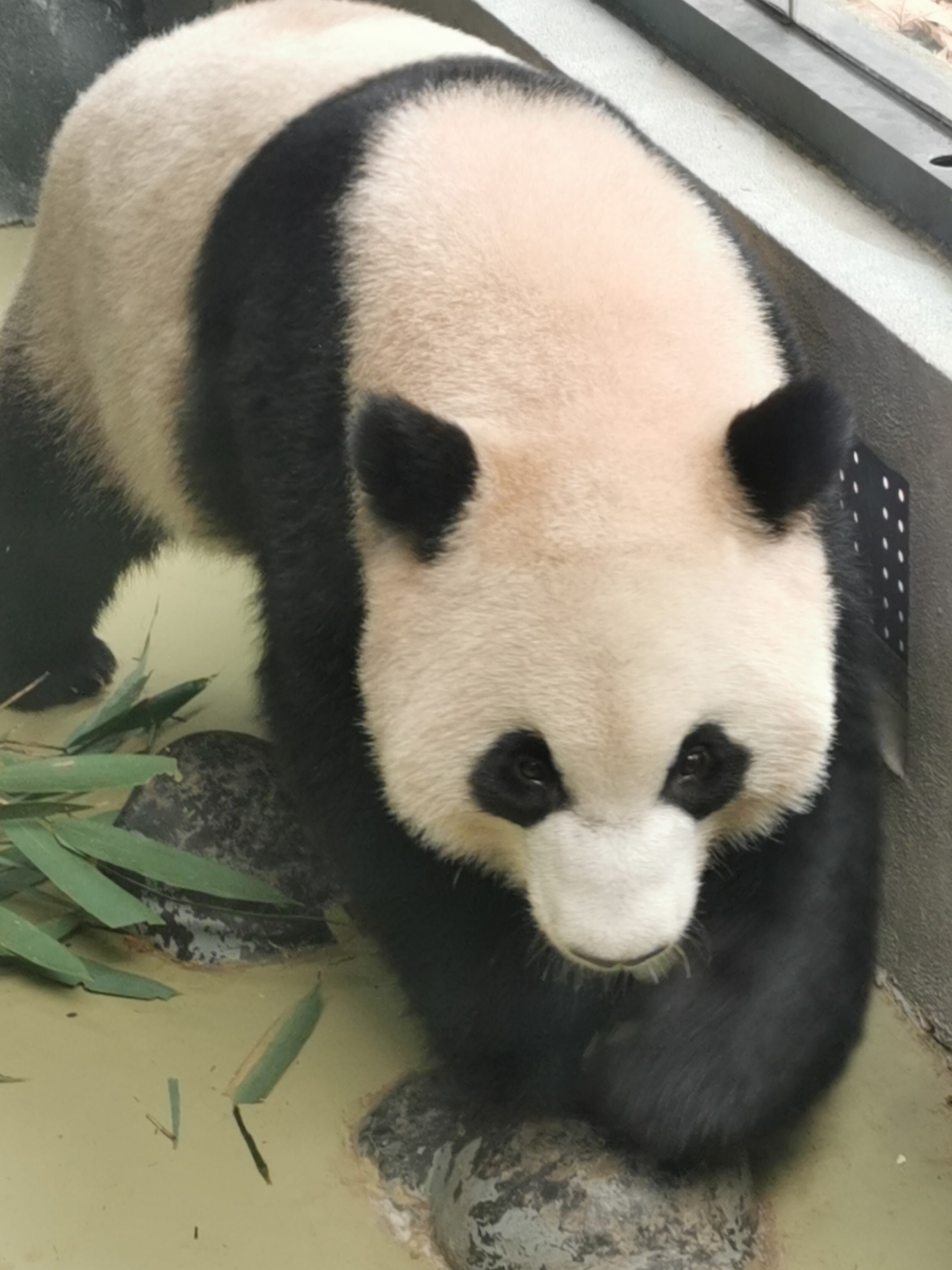 美美时尚小屋呀