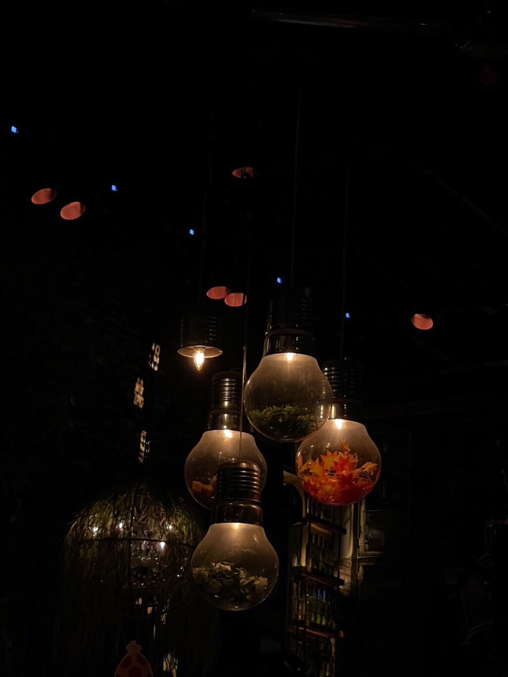 橙妖精你好加油