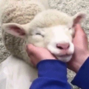 明天不想上班了啦