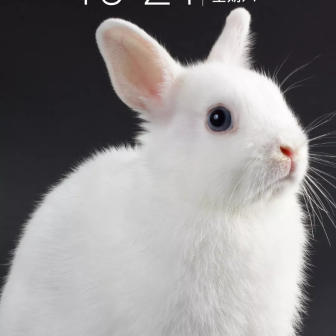 想剁手碎碎念黑夜