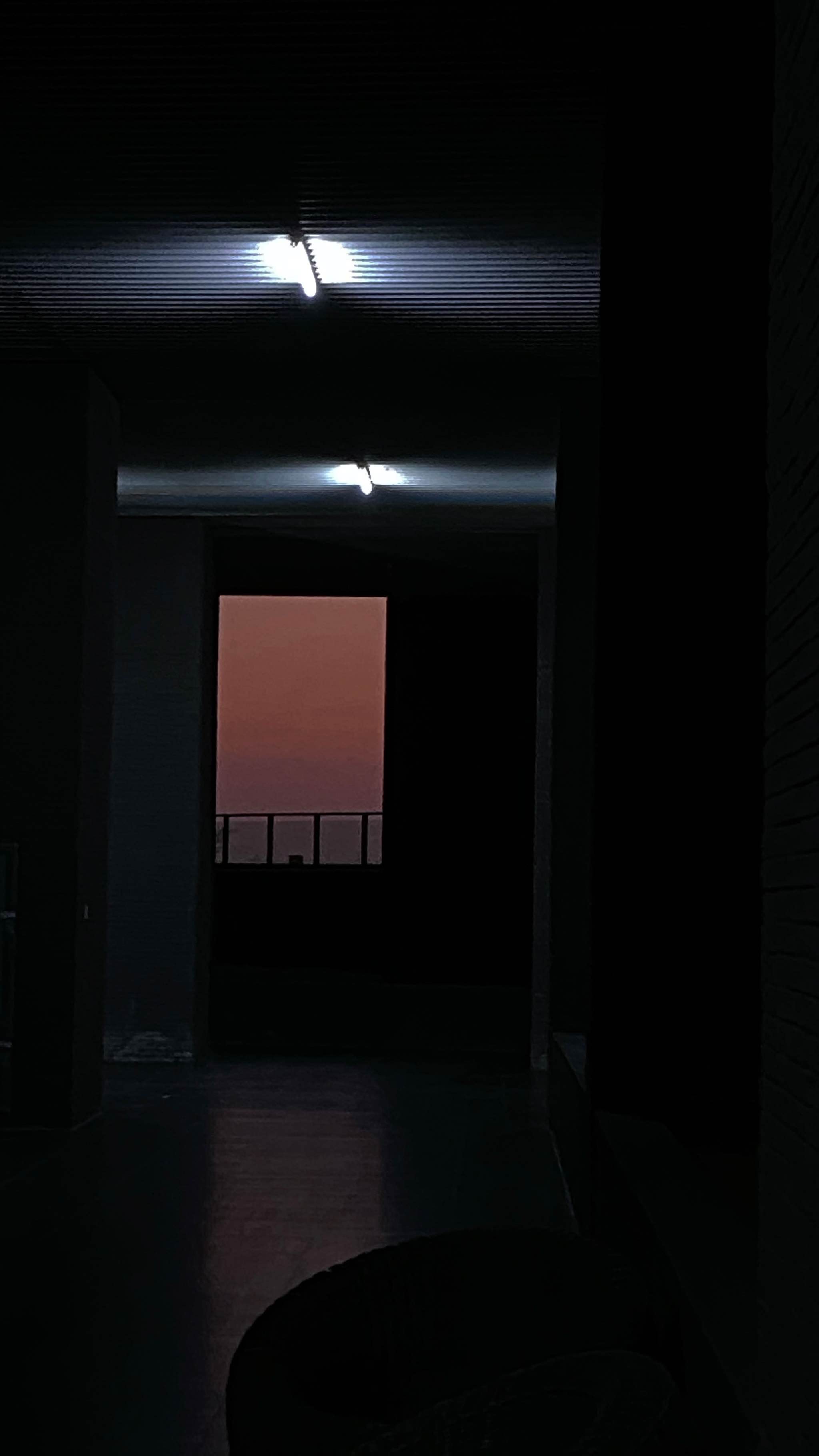 希尔星聪明的当归