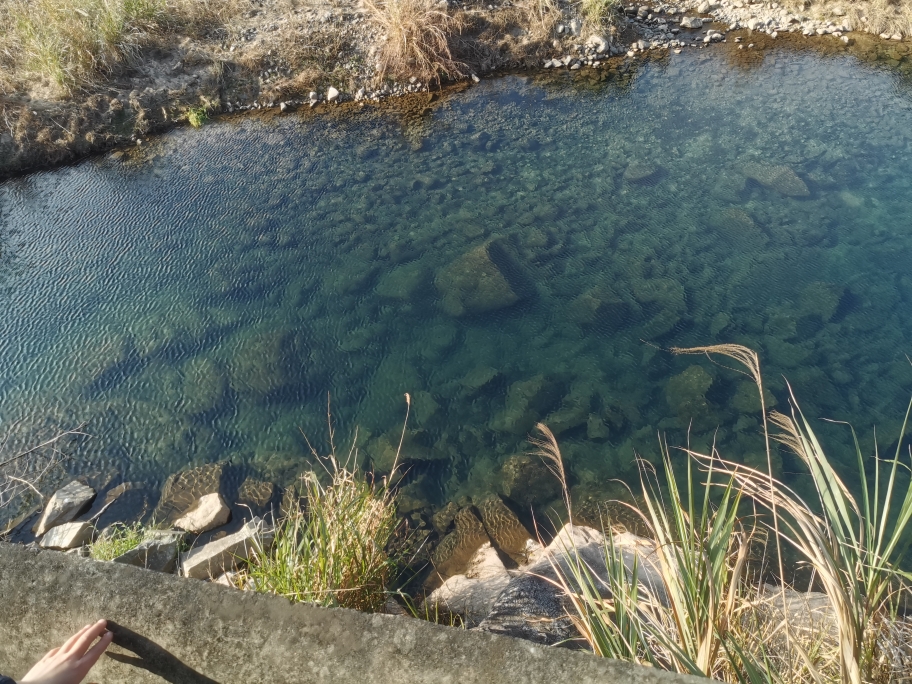 海洋星举重平菇