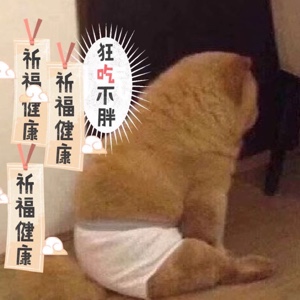 狂吃不胖的肥猫