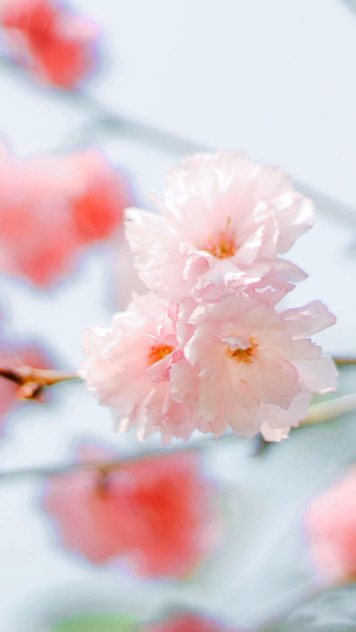 会游泳的手机2050