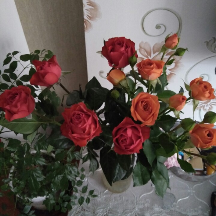 平平静静生活！