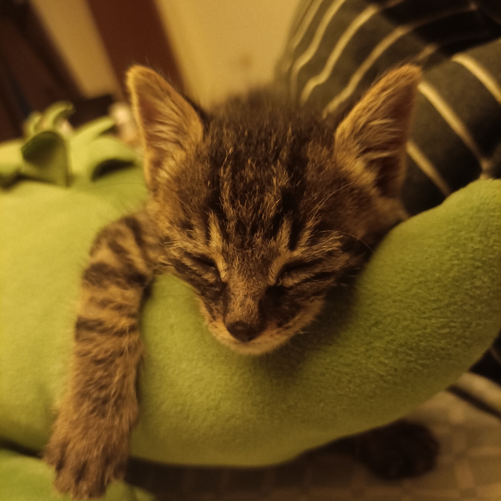 试试推荐的昵称