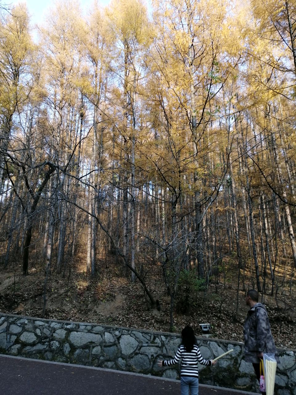 要上进地图娃娃